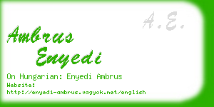 ambrus enyedi business card